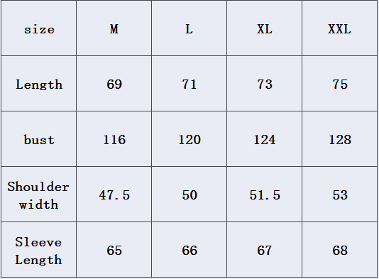 חולצות ג'נס ראלף לורן לו ולך – תמונה 9