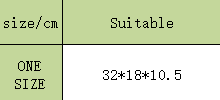 תיק קנבס מיו מיו – תמונה 11