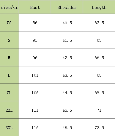 חולצות פולו נורת פייס – תמונה 12