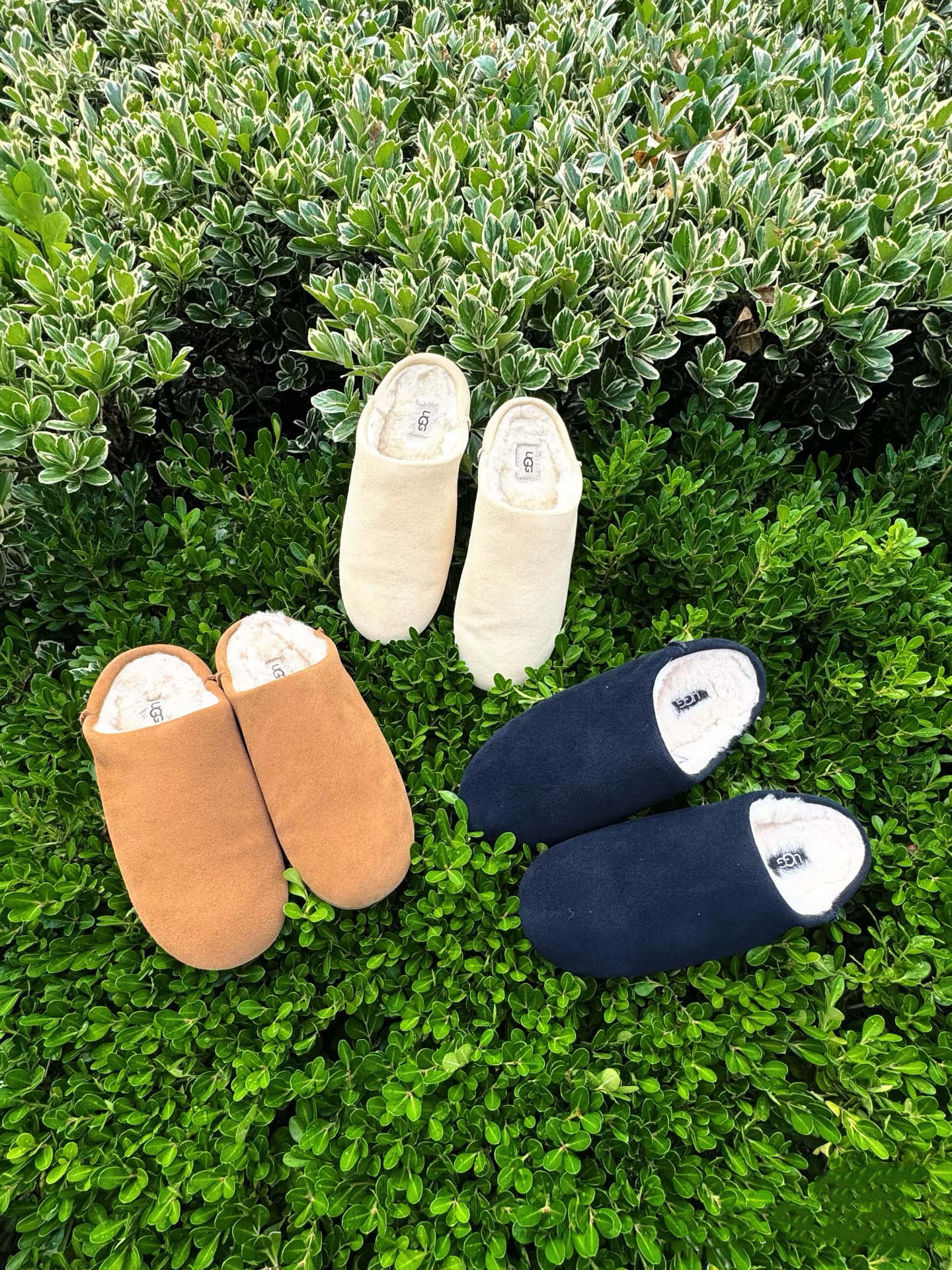 כפכפים UGG – תמונה 8