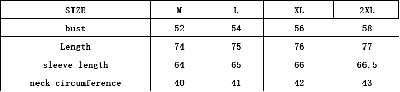 חולצות מכופתרות ראלף לורן – תמונה 14