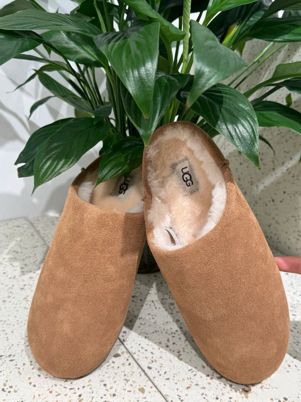 כפכפים UGG סליפ-און – תמונה 12