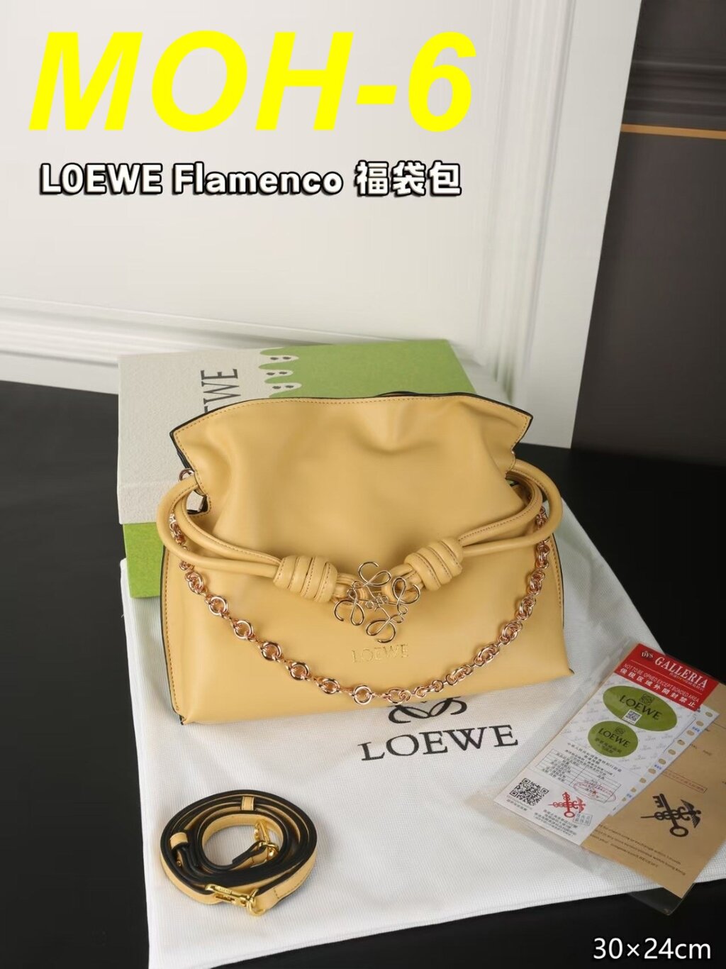 תיק LOEWE – תמונה 10