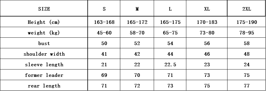 חולצות פולו טומי – תמונה 13